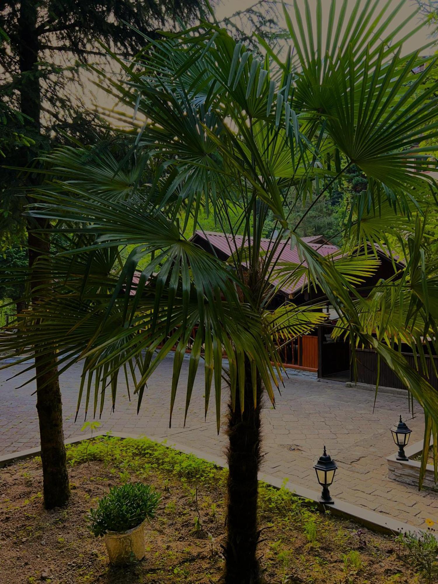 Isikli Kale Hotel Caykara Buitenkant foto